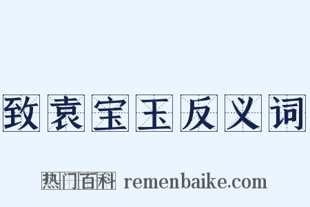 致袁宝玉反义词是什么意思的图片